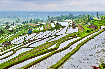 Bali