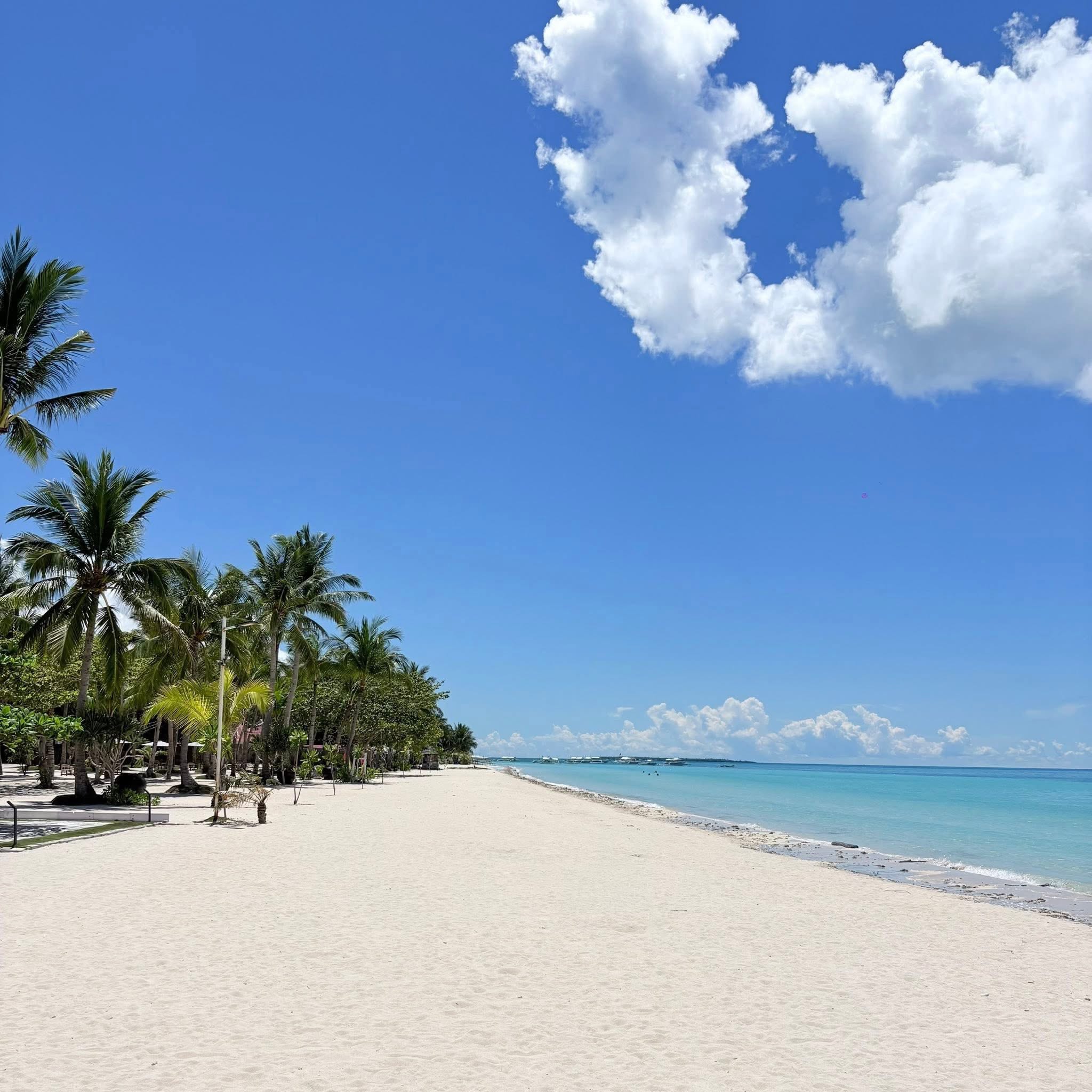 cebu